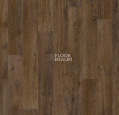 Ковролин Forbo Flotex Vision Naturals 010055 Chestnut фото 1 | FLOORDEALER
